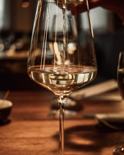 Genießen Sie den passenden Wein zu Ihrem Menu